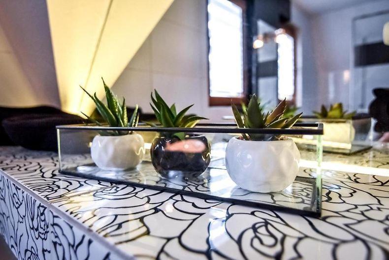 Cyrek Homestay Zakopane