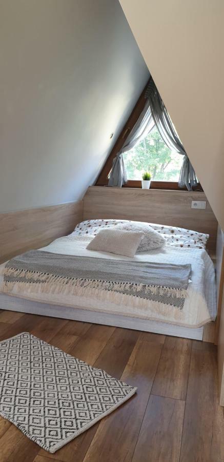 Cyrek Homestay